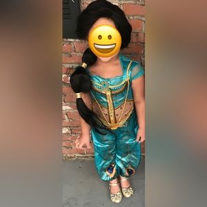 Disney's Aladdin- Jasmine Costume + wig